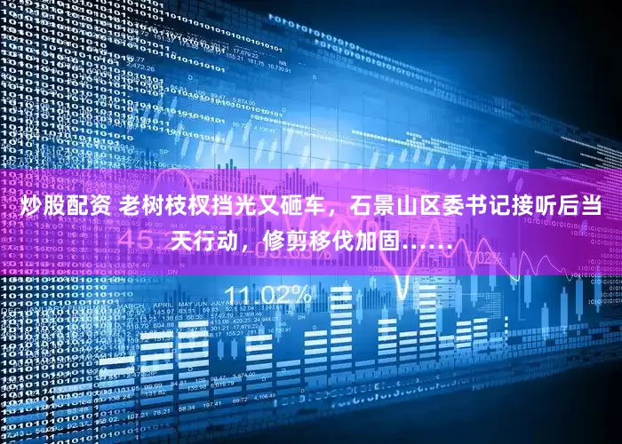 炒股配资 老树枝杈挡光又砸车，石景山区委书记接听后当天行动，修剪移伐加固……