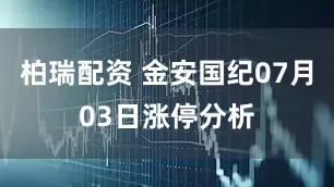 柏瑞配资 金安国纪07月03日涨停分析